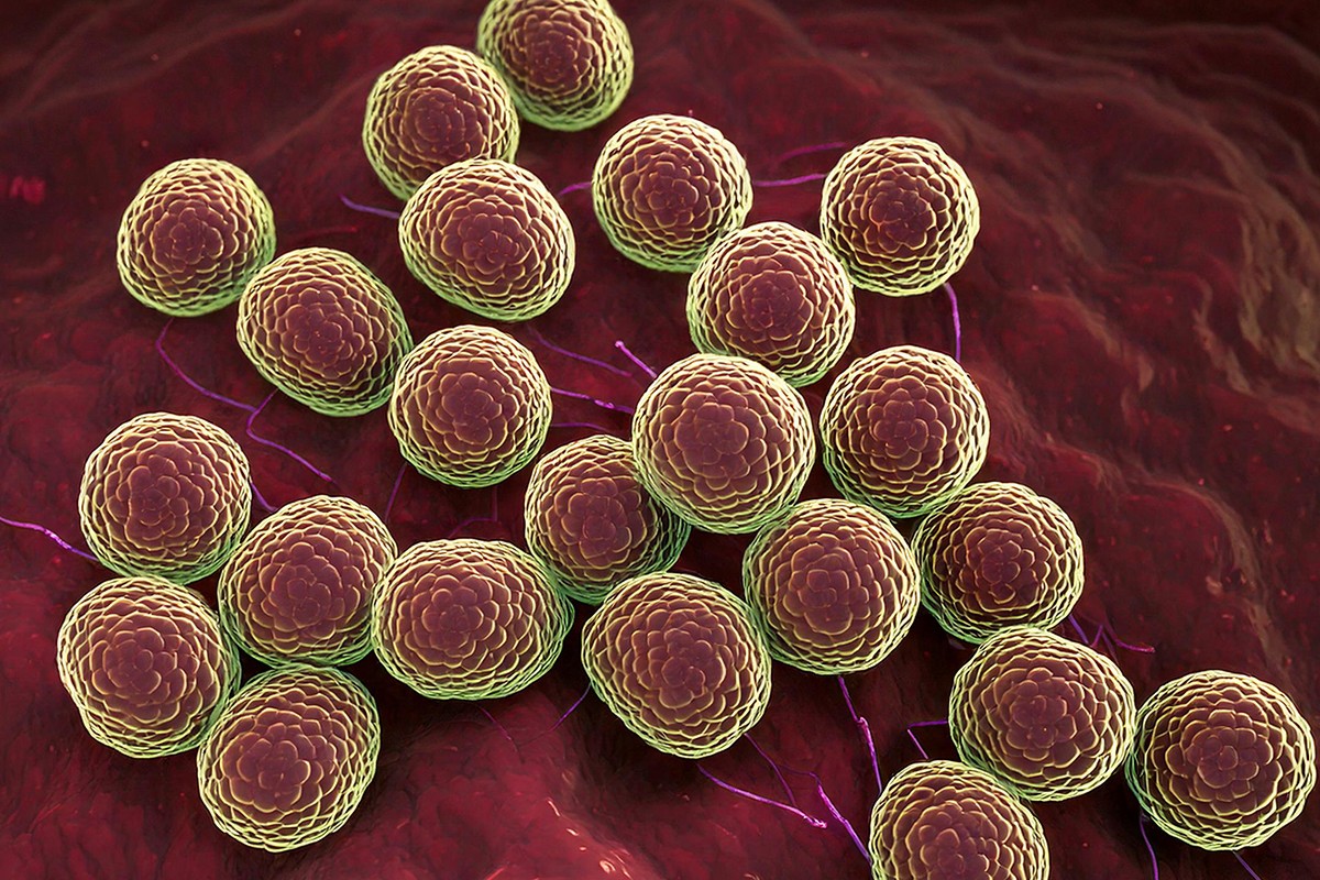 How Long Can MRSA Survive on a Surface?