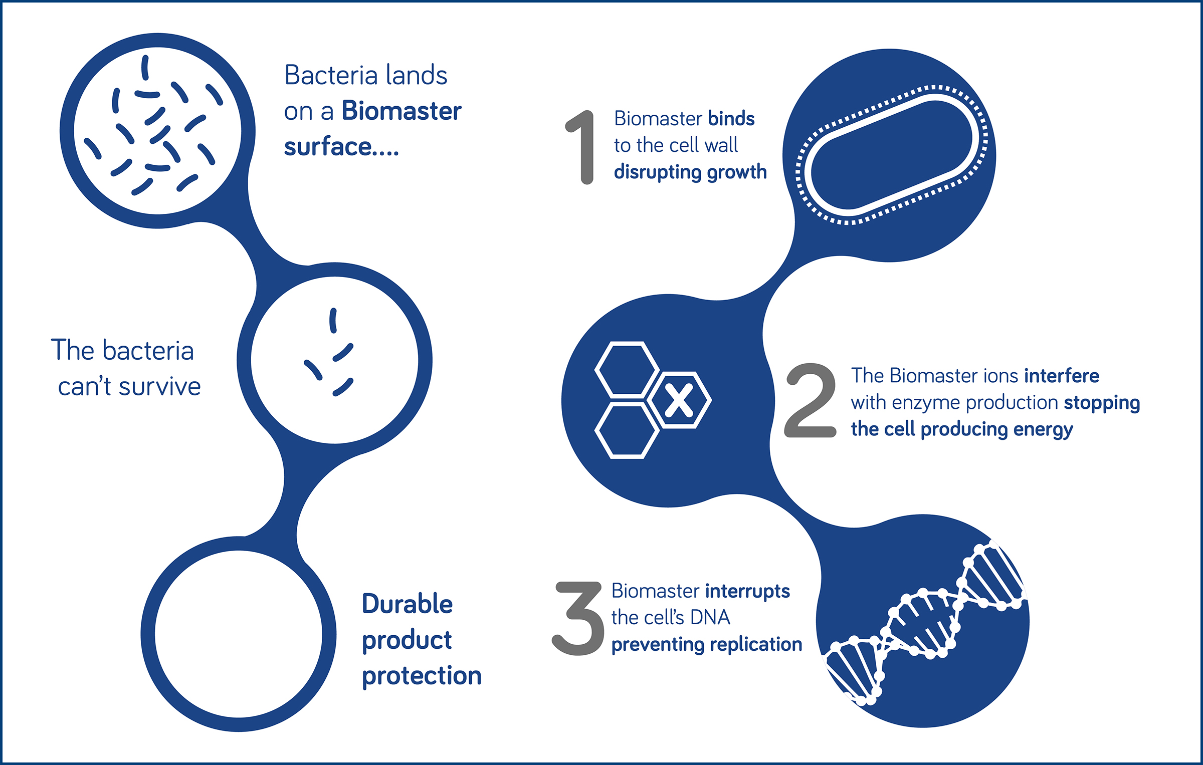 How Biomaster Works